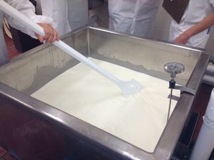 Cal Poly San Luis Obispo Artisan Cheesemaker Shortcourse Image 5
