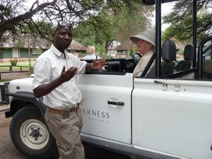 Travel Zimbabwe and South Africa – Safari! Image 4