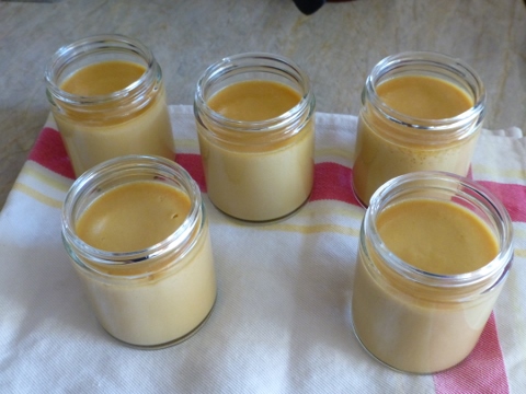 Salted Butterscotch Pot de Creme 2014-03-30 037 (480x360)