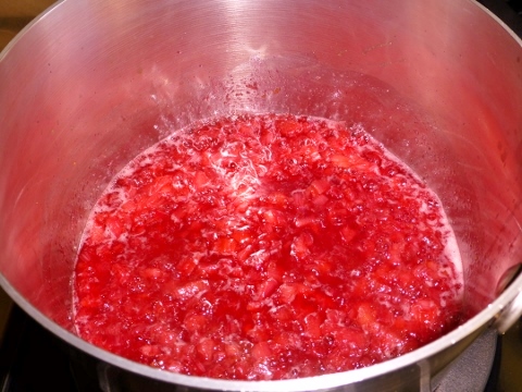 Rhubarb Jam – Recipe! Image 2