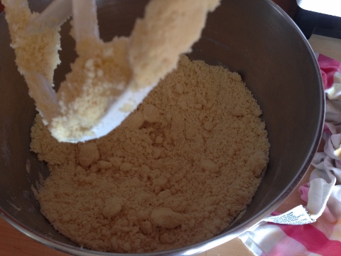 Savory Tart Dough 2014-06-25 026 (480x360)