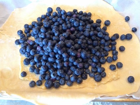 Rustic Blueberry Almond Tart 2014-08-22 011 (480x360)