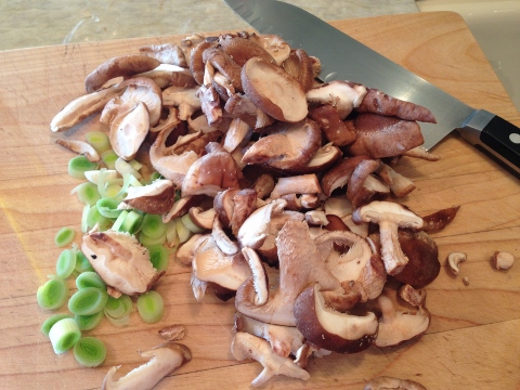 Seared Chicken with Mushroom Pan Sauce 2014-09-05 007 (480x360)