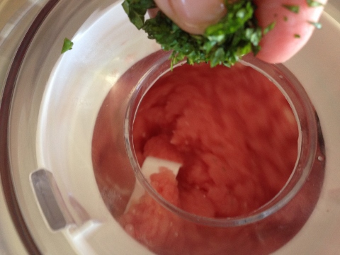 Watermelon Mint Mojito Sherbet 2014-09-06 053 (480x360)