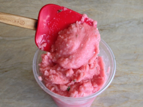 Watermelon Mint Mojito Sherbet Recipe Image 1