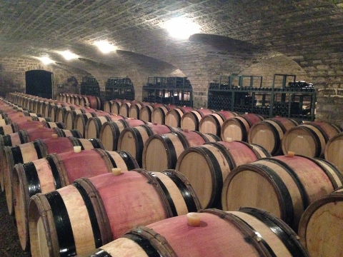 Burgundy 2014 237 (480x360)