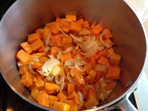 Roasted Butternut Squash & Onion Soup Recipe 018 (480x360)