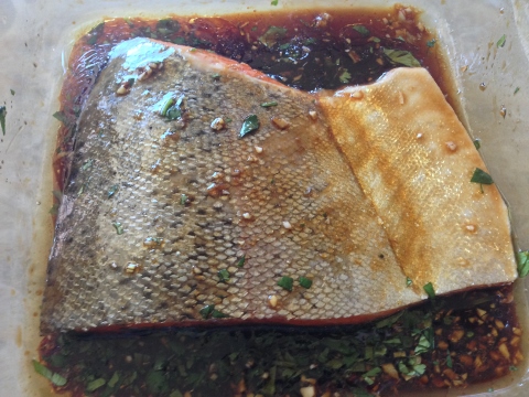 Smoky Asian Grilled Salmon 040 (480x360)