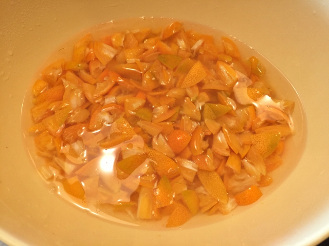 kumquat marmalade 020 (640x480)