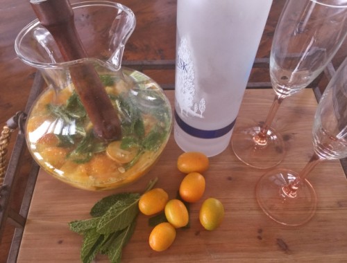 Kumquat Vodka Mojitos – Recipe!