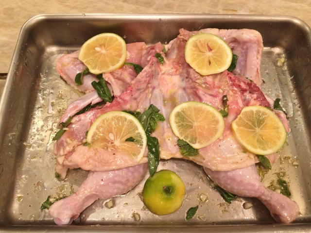 Grilled Lemon Spatchcocked Chicken with Basil Arugula Oil 017 (640x480)