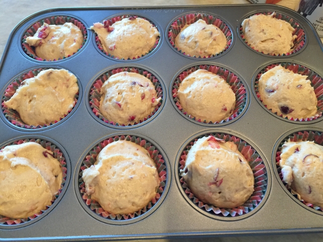 cranberry-crumb-muffins-020-650x488