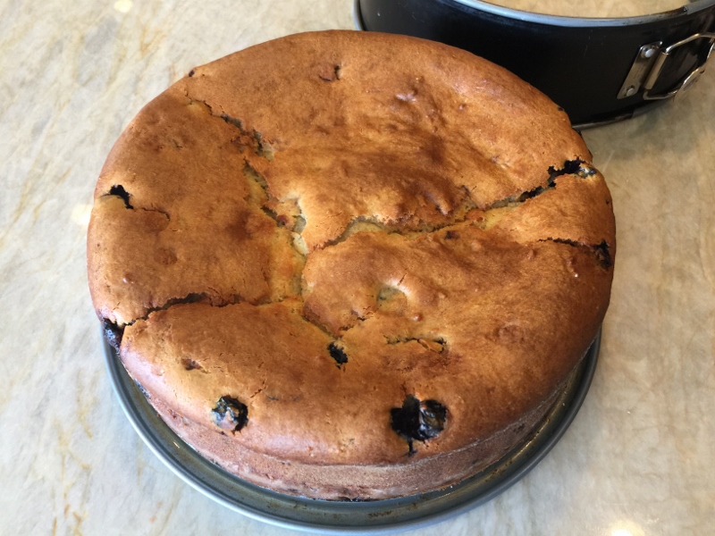 Blueberry Orange Cake – Recipe! Image 14