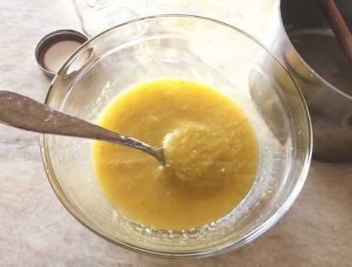 Vegan Mango-Coconut Sherbet – Recipe! Image 4