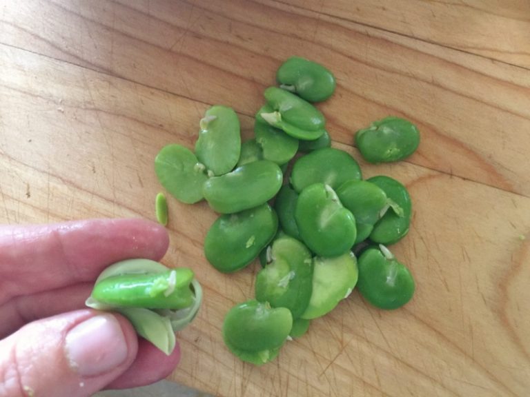 Fava Bean Hummus Recipe! Live. Love. Laugh. Food.