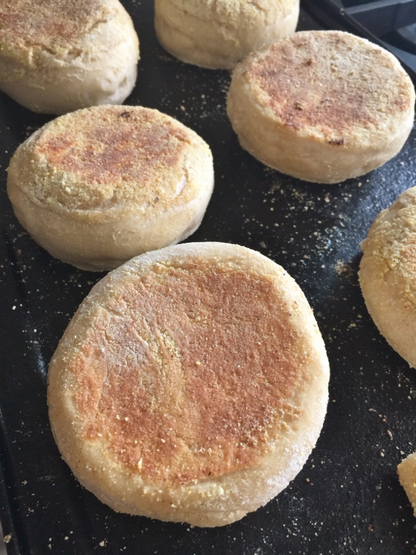 Whole-Grain Sourdough English Muffins – Recipe! Image 3