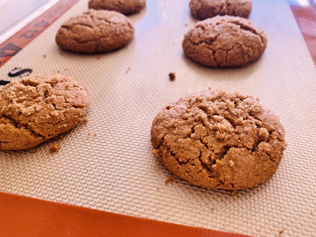 Spelt Ginger Crinkle Cookies – Recipe! Image 5