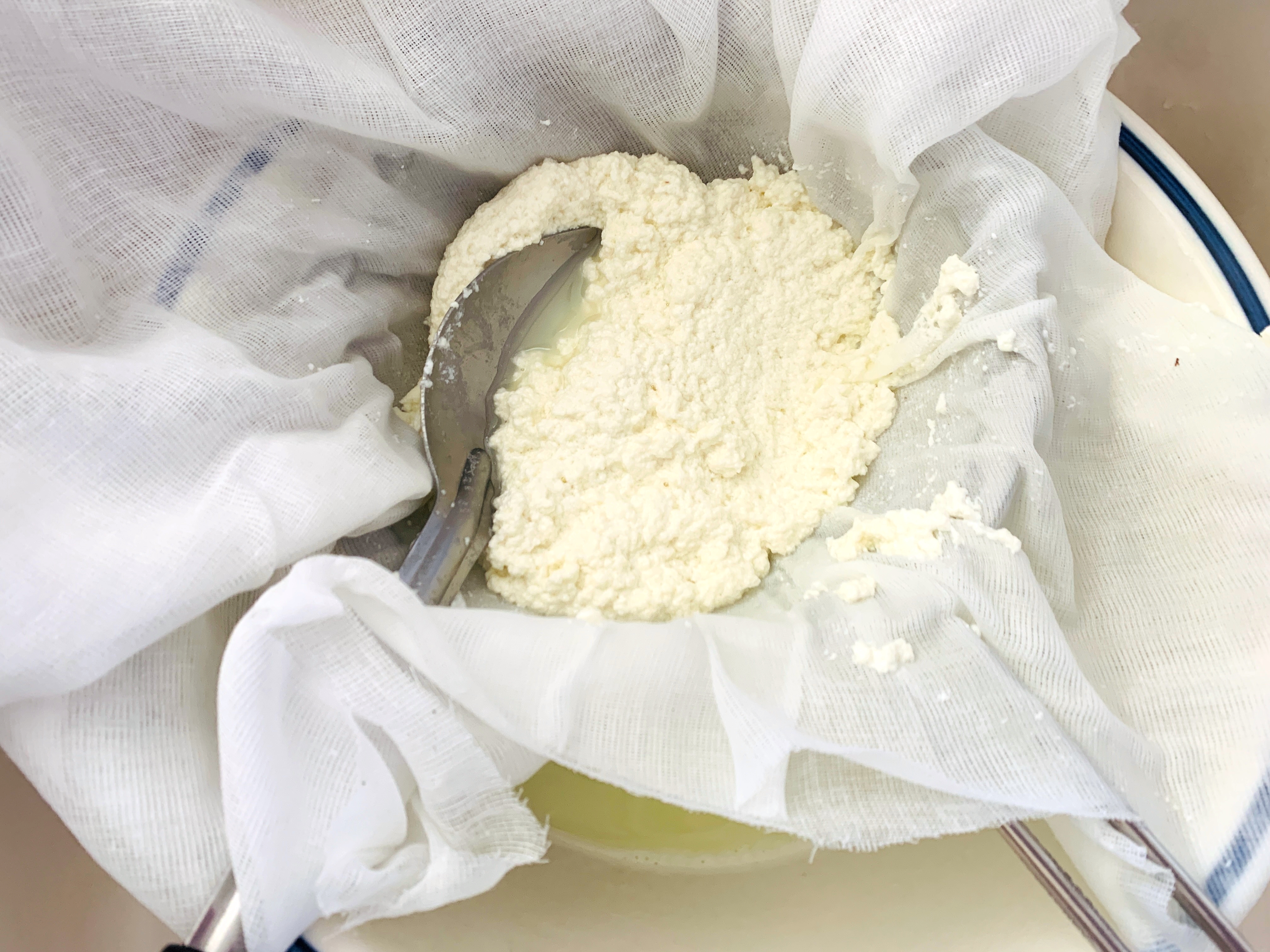 Homemade Ricotta Cheese – Recipe! Image 2