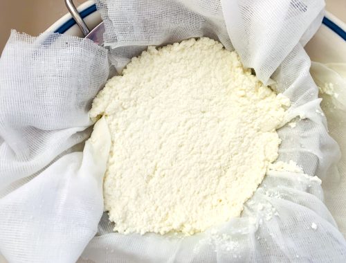 Homemade Ricotta Cheese – Recipe!