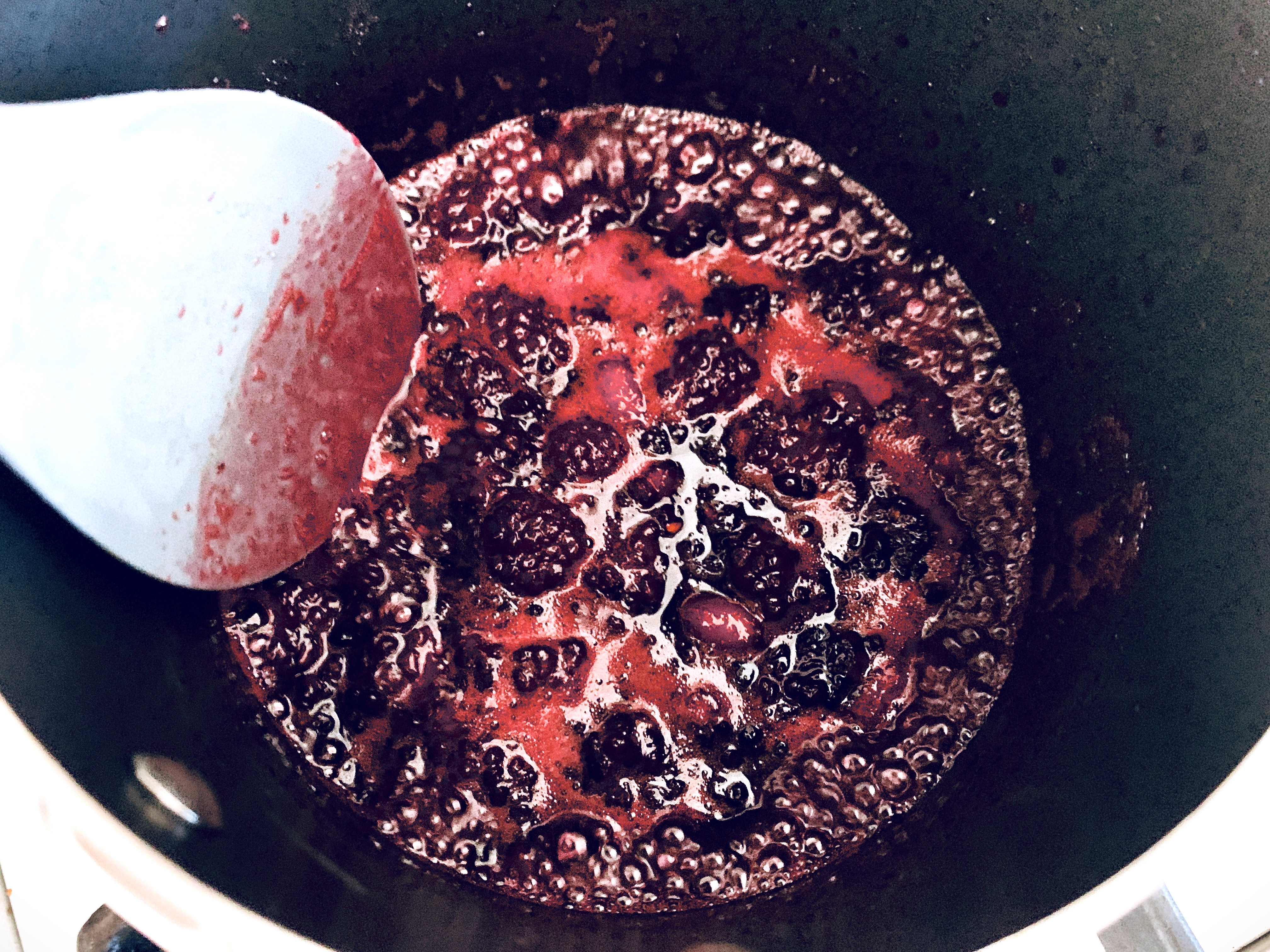Blackberry Yogurt Fool – Recipe! Image 3