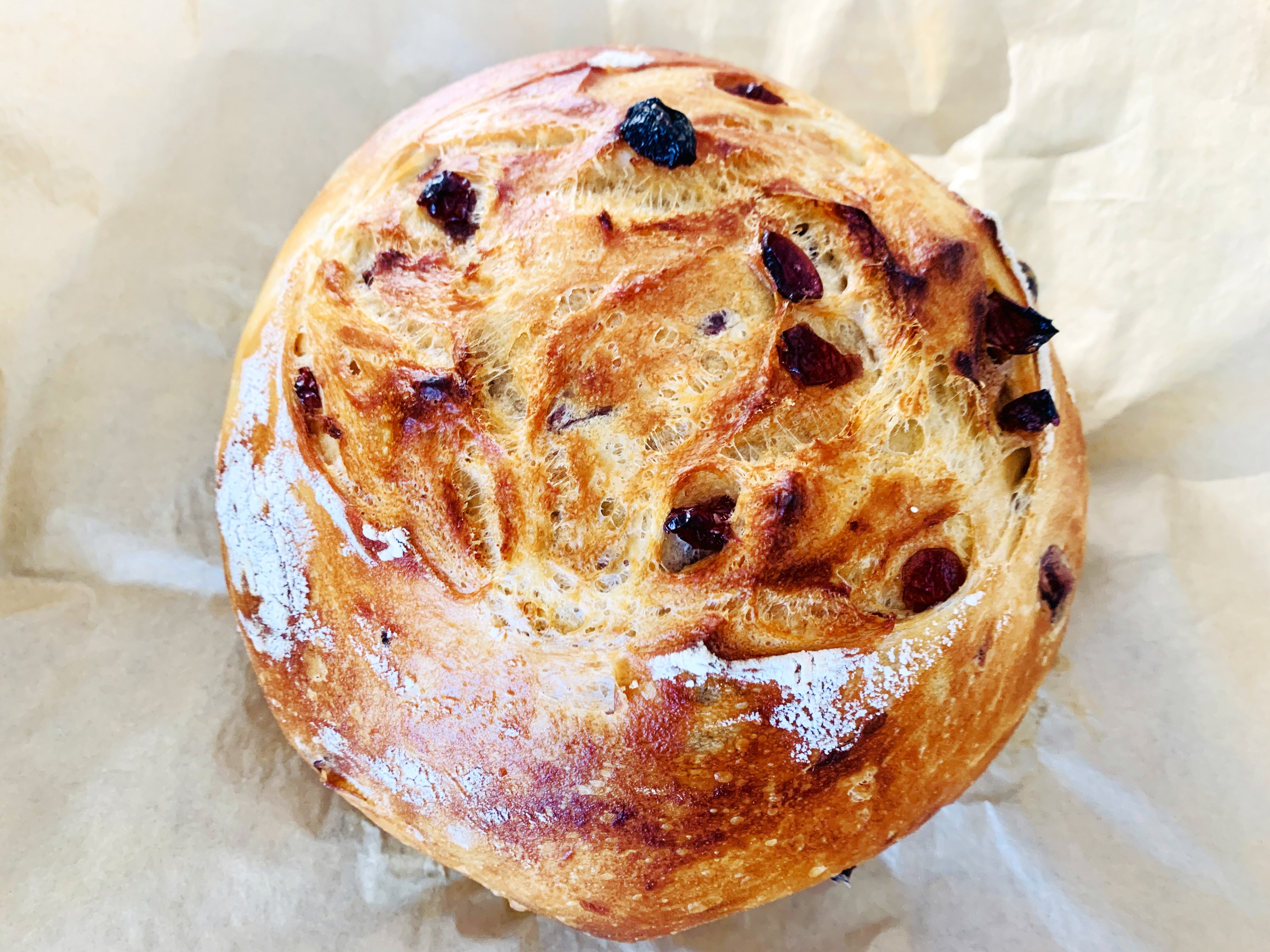 No-Knead Dried Cranberry Loaf – Recipe! Image 2